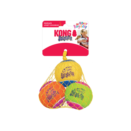 3 Pack Medium Assorted KONG Birthday Fetch Balls