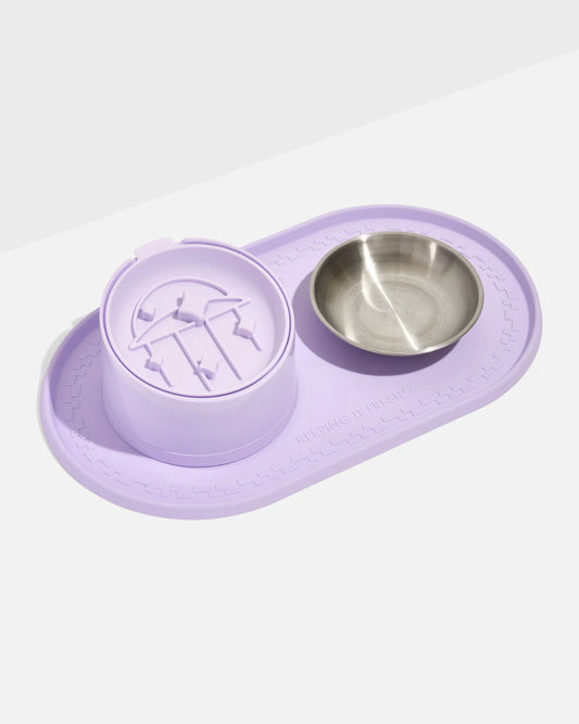 Cat Meal Kit
