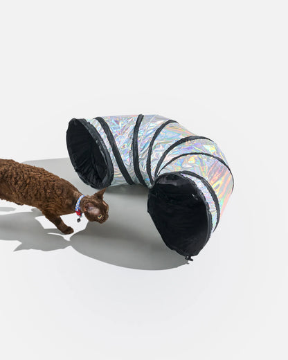 Cat Tunnel