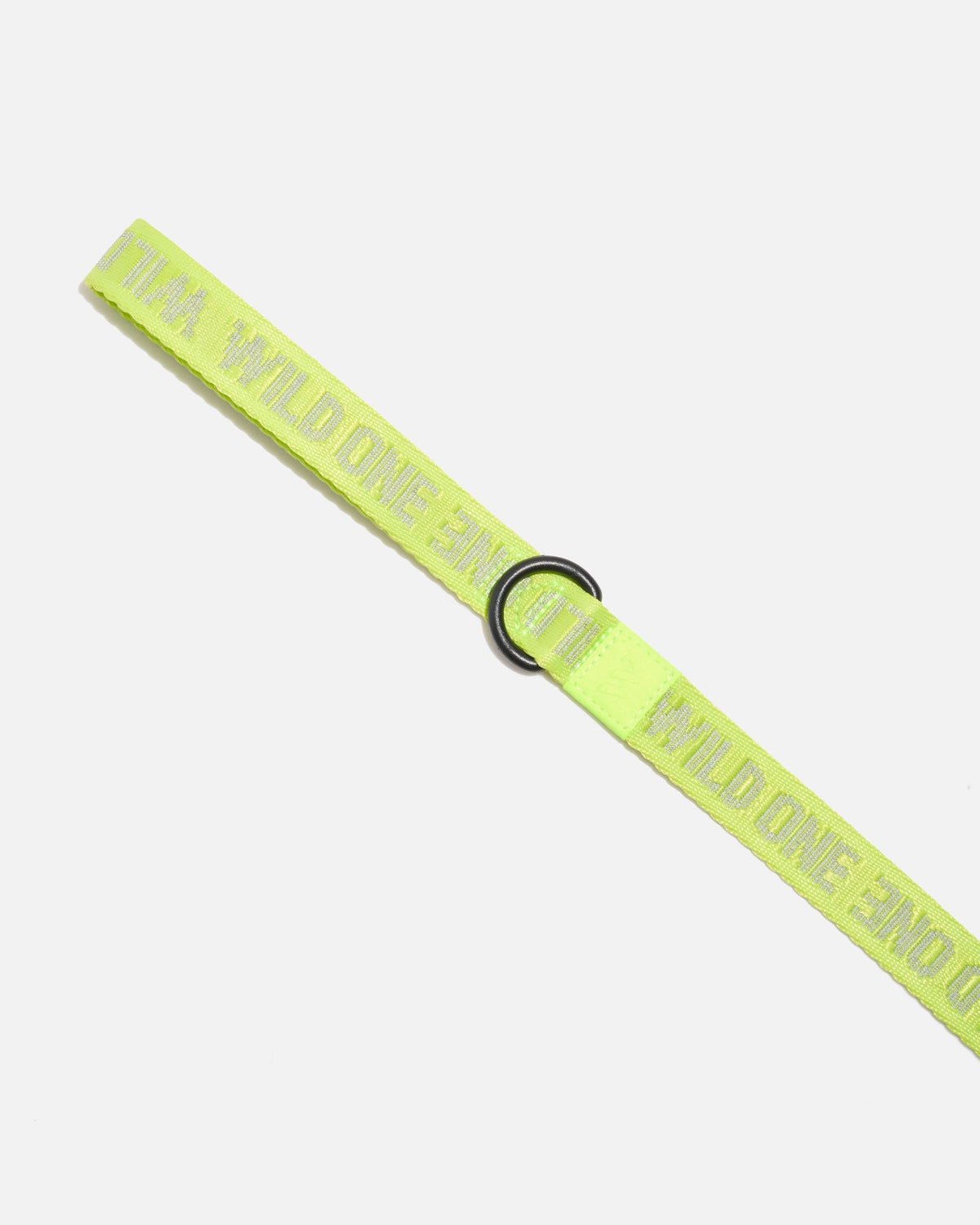 Lightweight Dog Leash