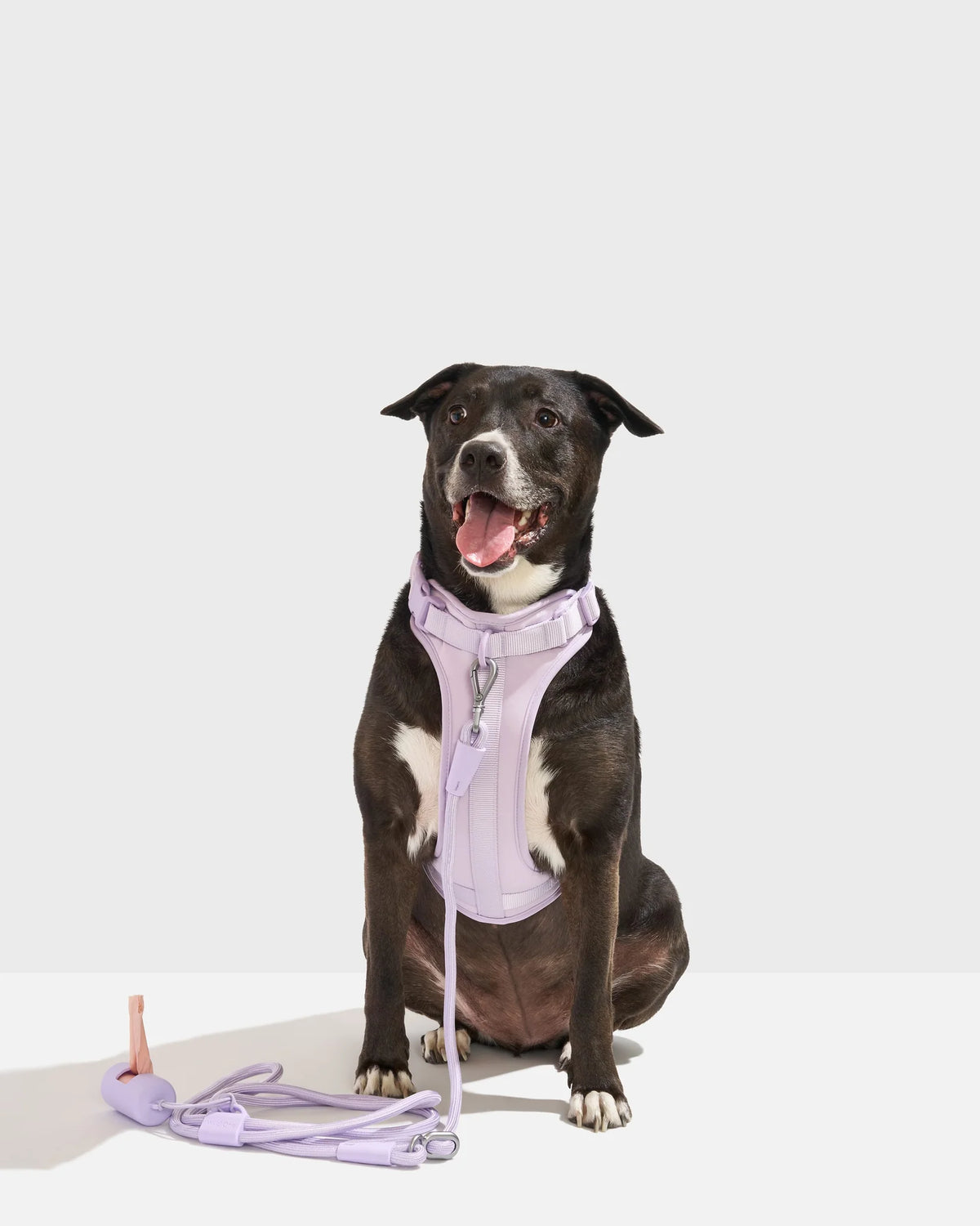 Cushioned Harness + Hands-Free Rope Leash Walk Kit
