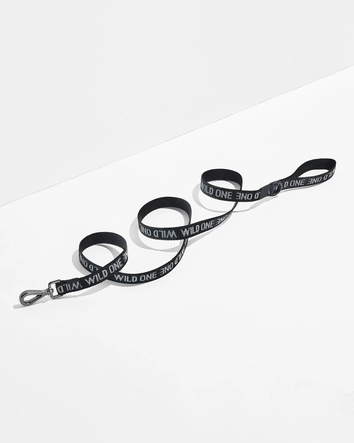 Cushioned Harness + Lightweight Leash Walk Kit