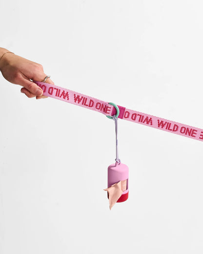 Cushioned Harness + Lightweight Leash Walk Kit