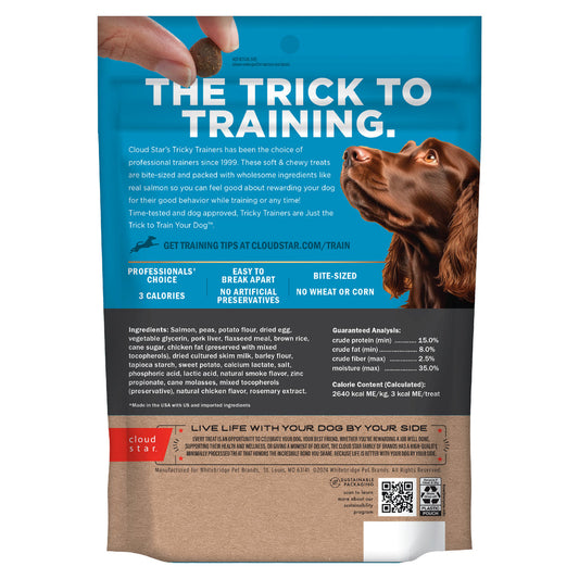 Cloud Star Chewy Salmon Training Treats 14oz