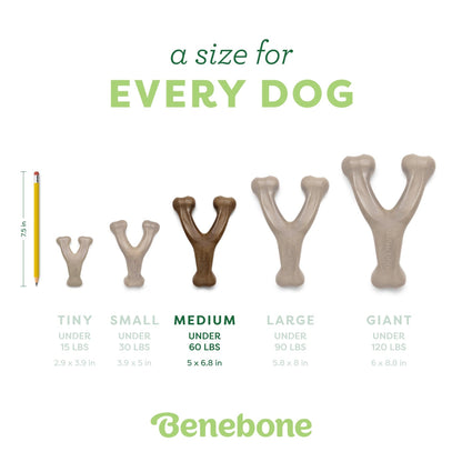 Benebone Medium 2pk Wishbone and Fishbone